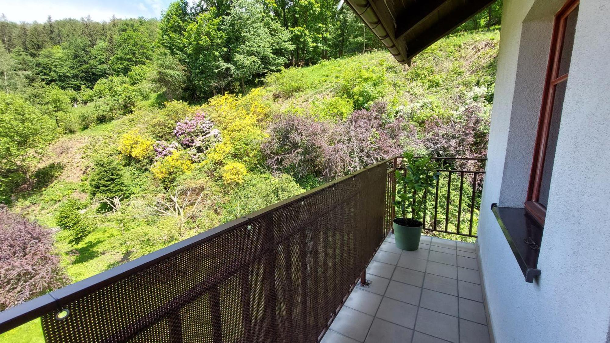 Apartament Miedzygorski Międzygórze Exterior foto